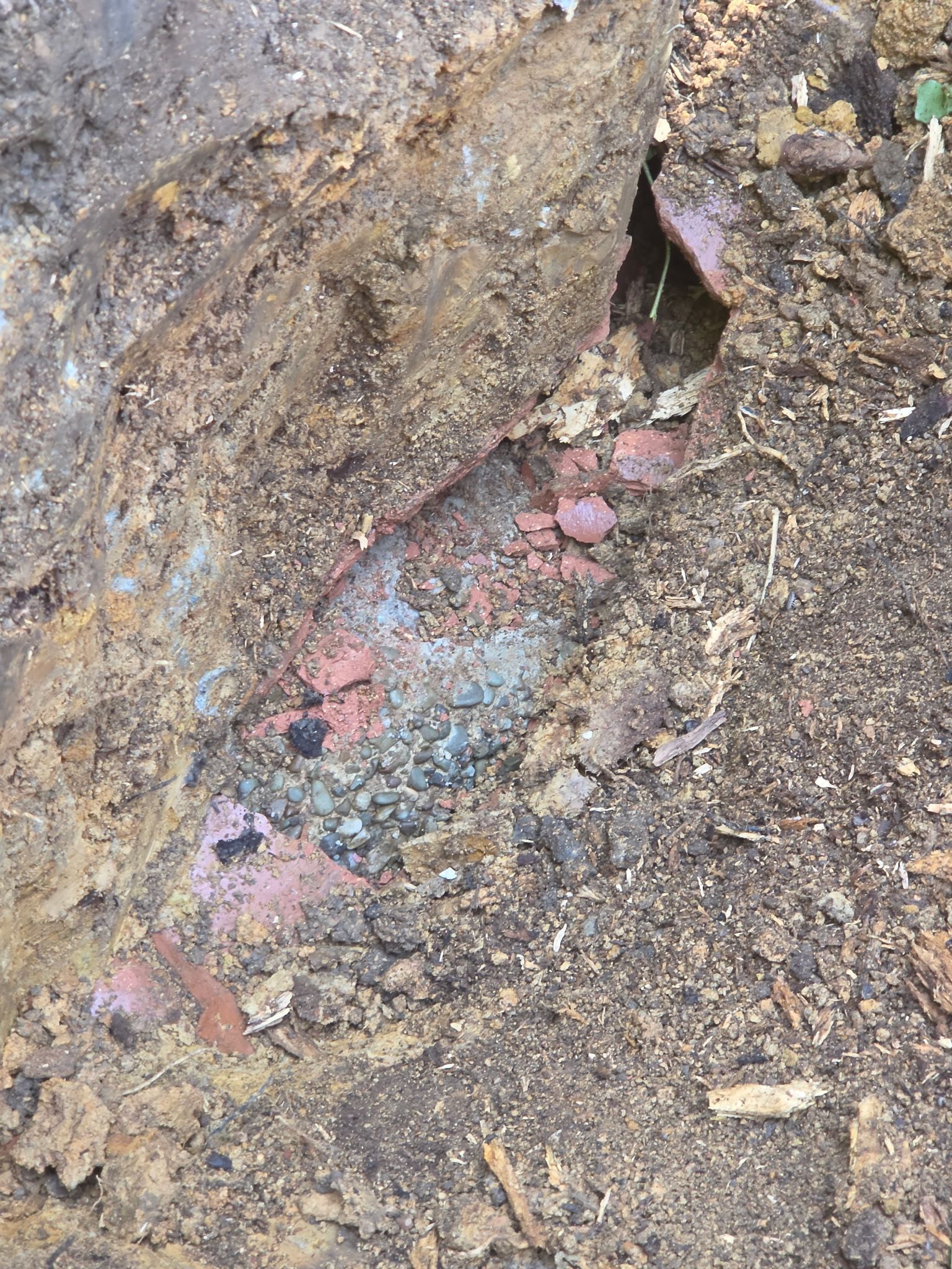 Close-up of a muddy rocky ground with a small pink, blue, and black mineral vein.