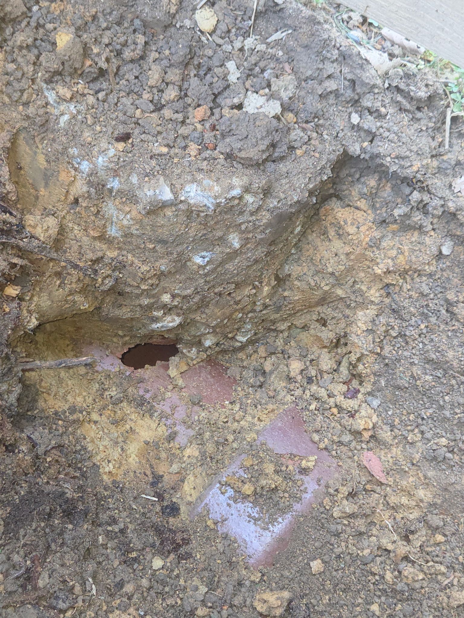 Close-up of a muddy rock surface with a small hole and a patch of purple-blue paint.