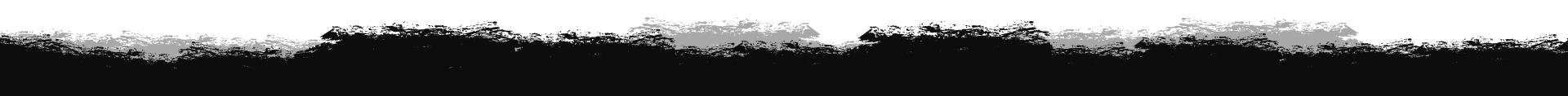 Banda borrosa en blanco y negro en la pantalla.