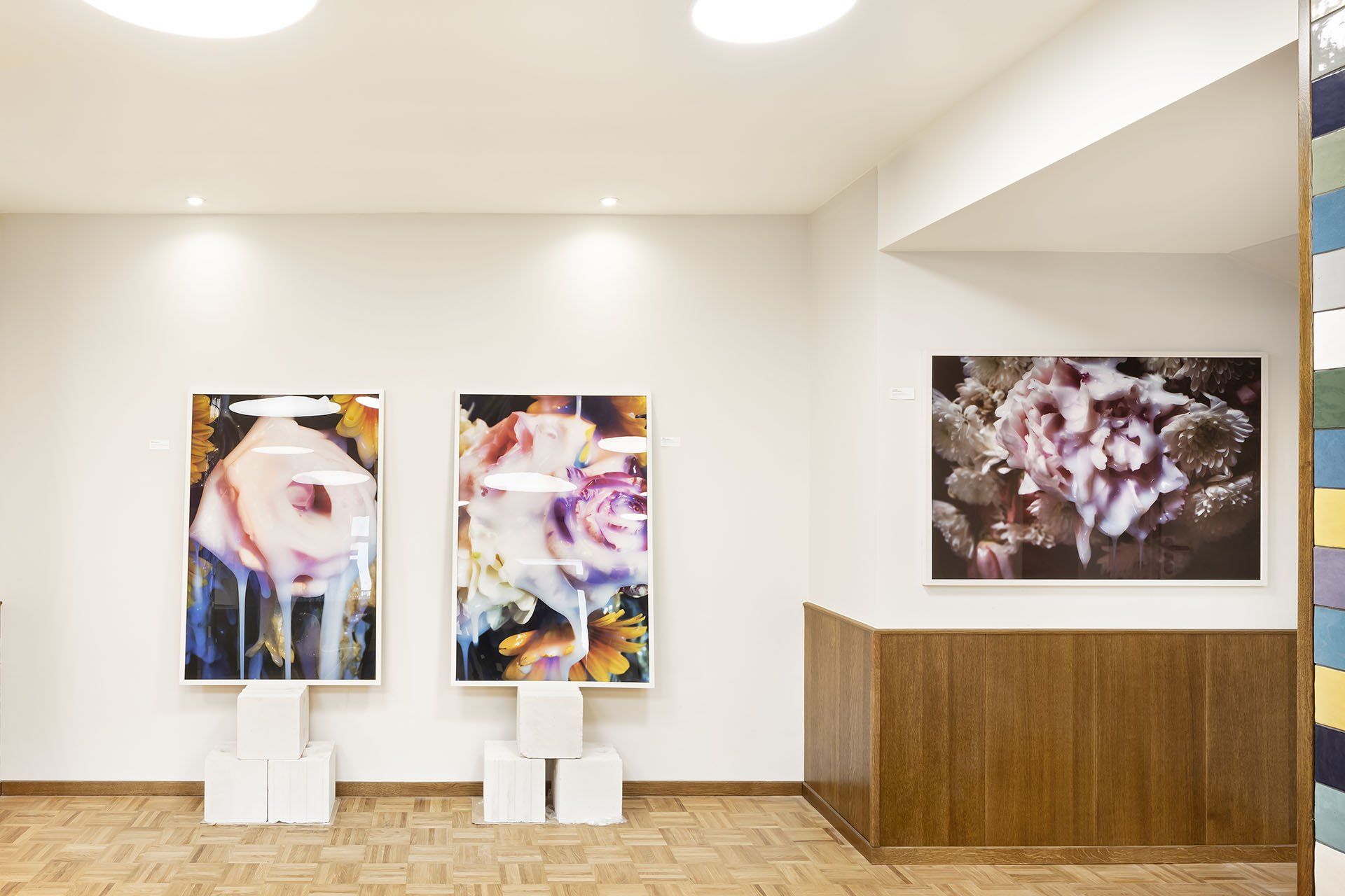 Ausstellungsansicht