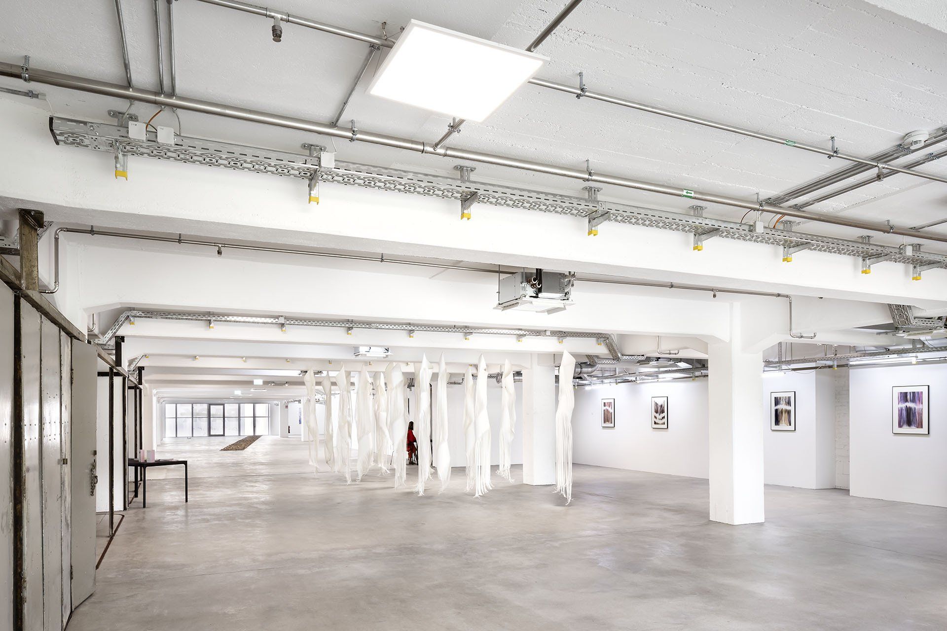 MeetFrida, Ausstellung Beyond Space: Renata Palekcic