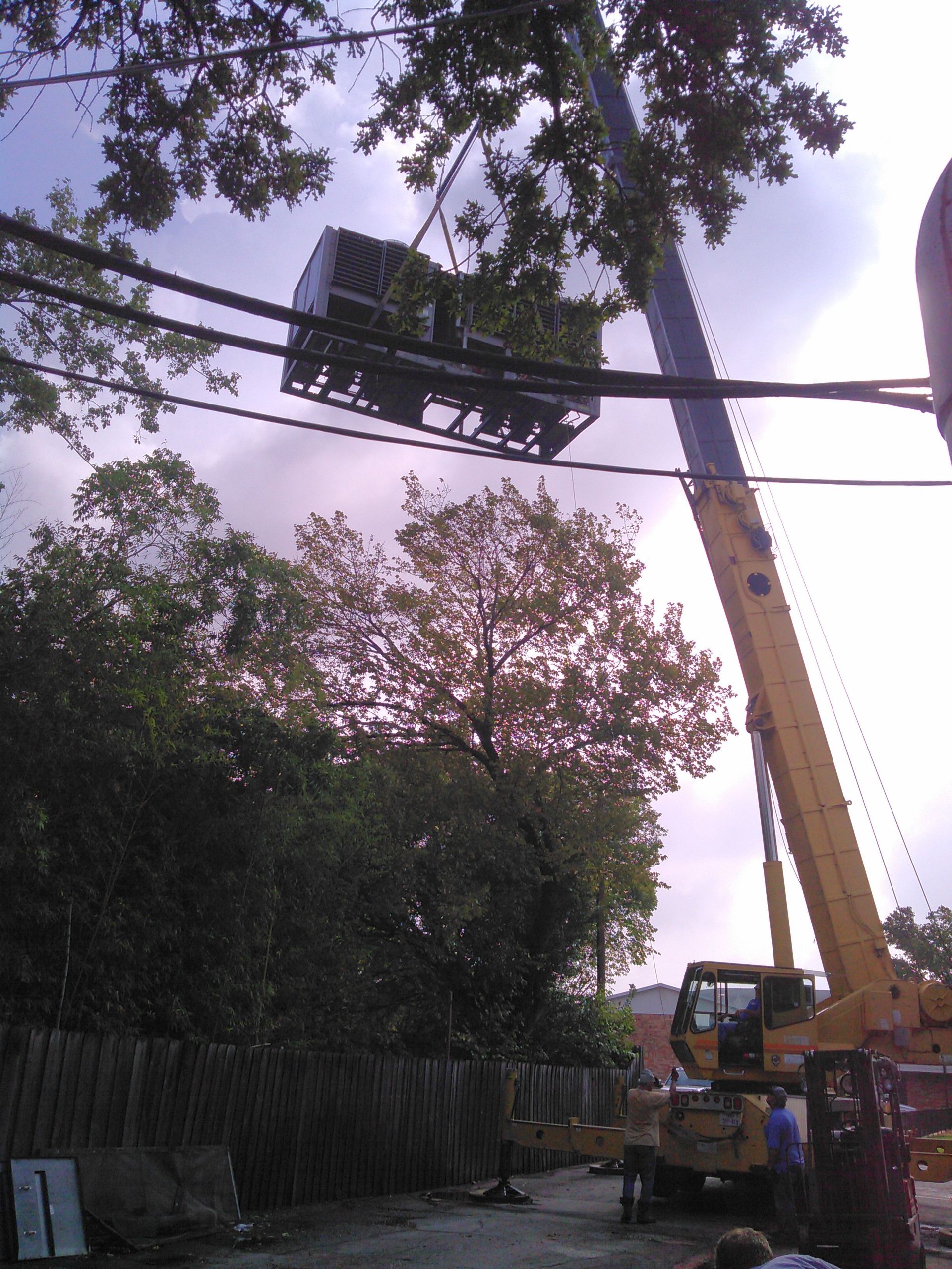 A yellow crane lifting a man in a basket toward tree branches near utility lines.