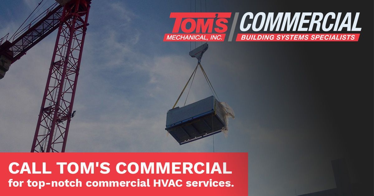 why call tom's commercial for second opinion