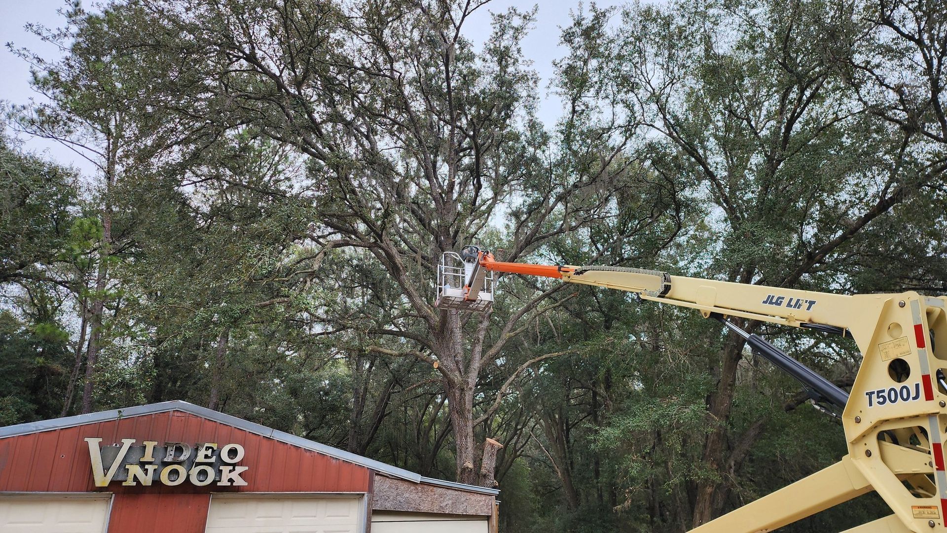 Yellow crane trimming tree branches above a building with a red roof and sign