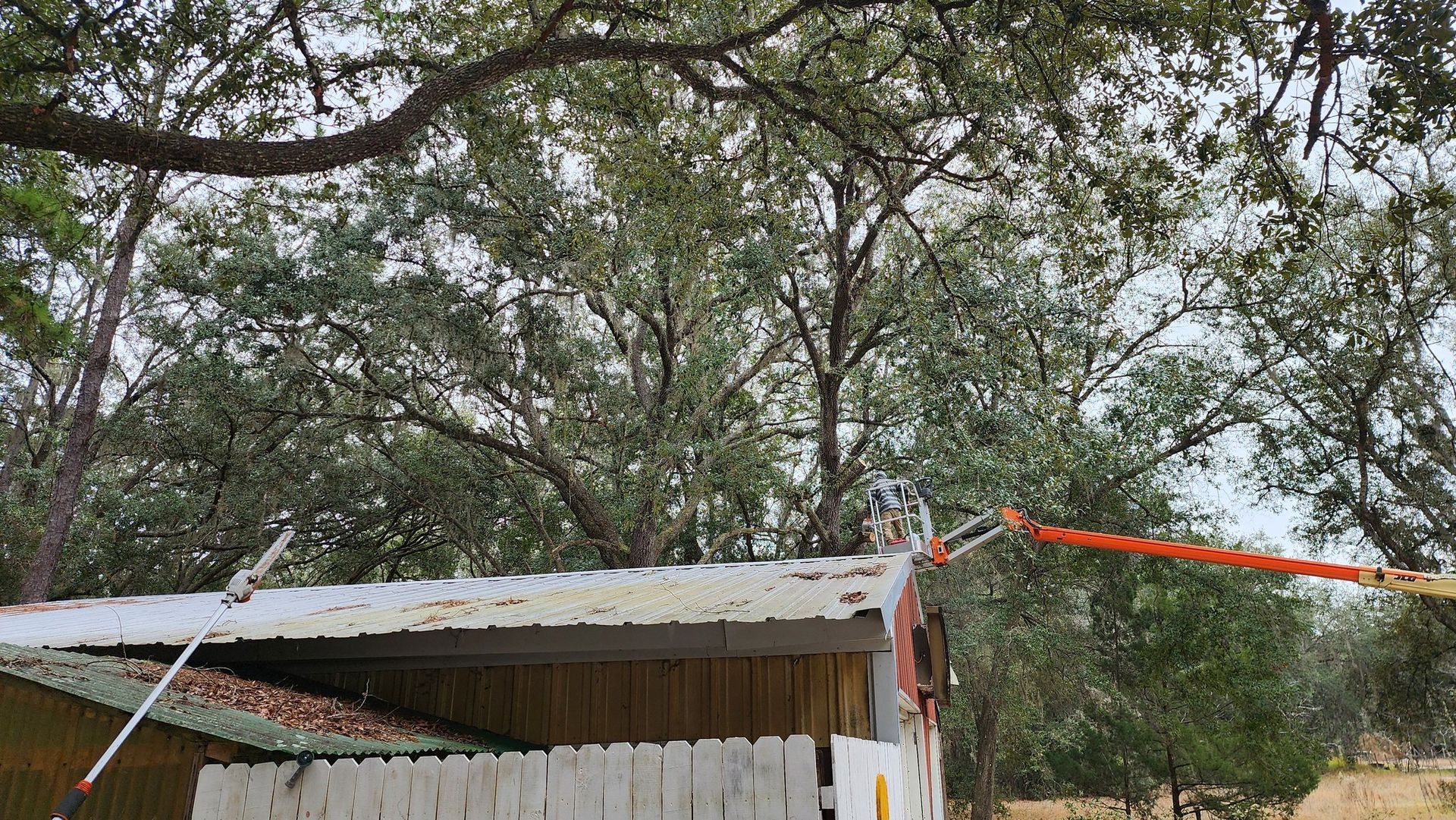 Damaged corrugated metal roof on a small structure, with trees and orange tape around it.