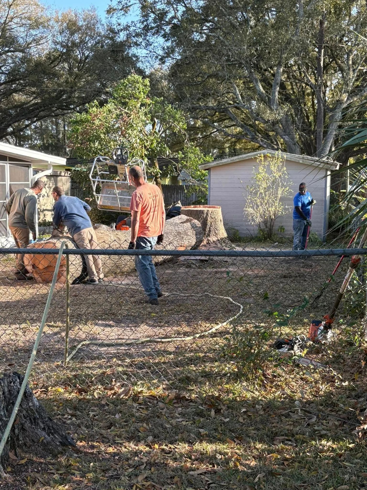People working in a leafy backyard near a shed, with one person pushing a wheelbarrow and others by a tree stump.