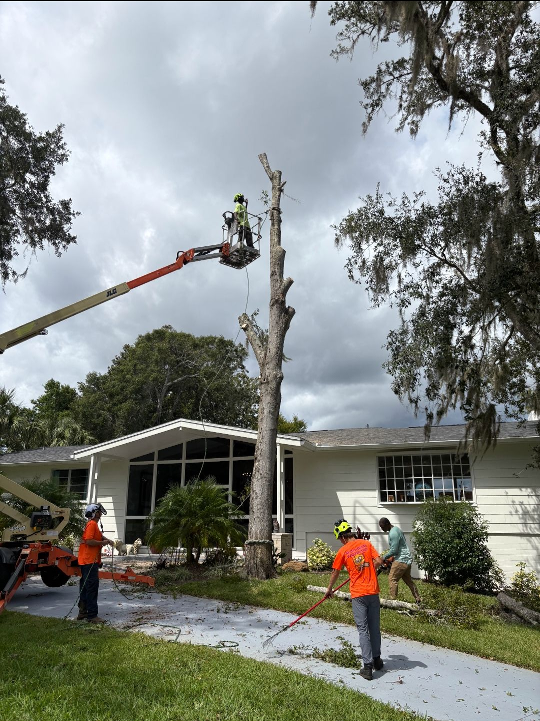 Tree trimmers on lifts removing a tall dead tree beside a white house after a storm