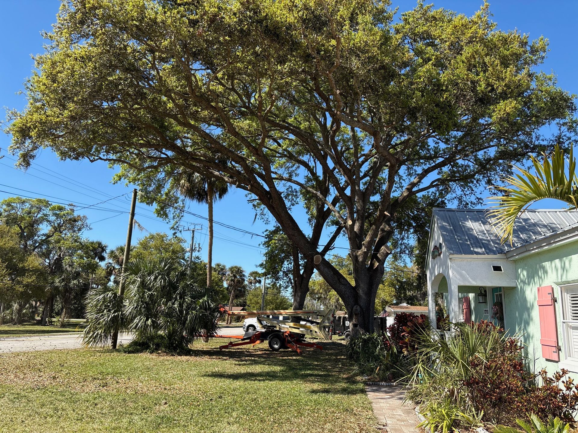 Large tree shading a yard with a small white house and a parked tractor on a sunny day
