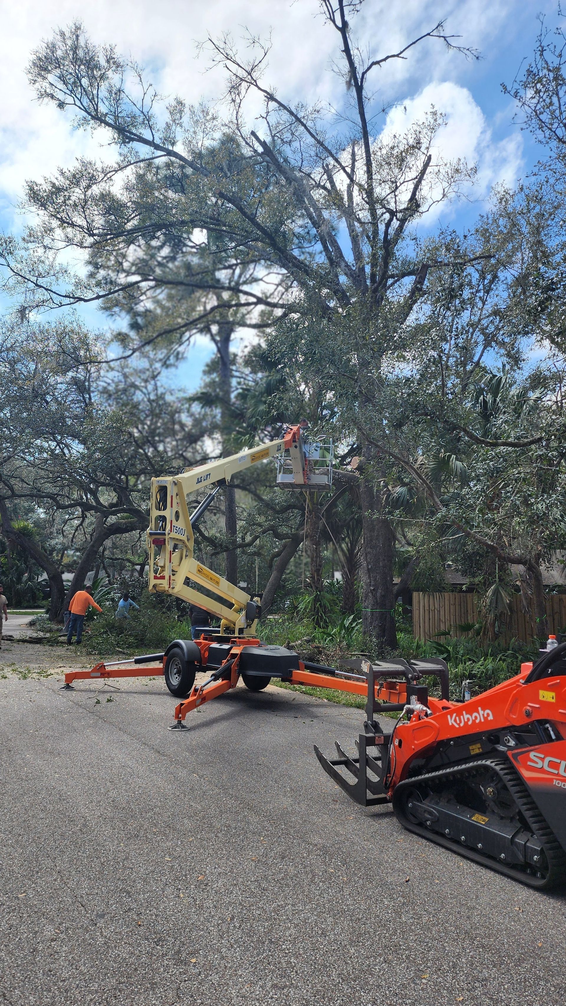 Workers in cherry picker trimming large trees beside a road, with orange equipment and fallen branches