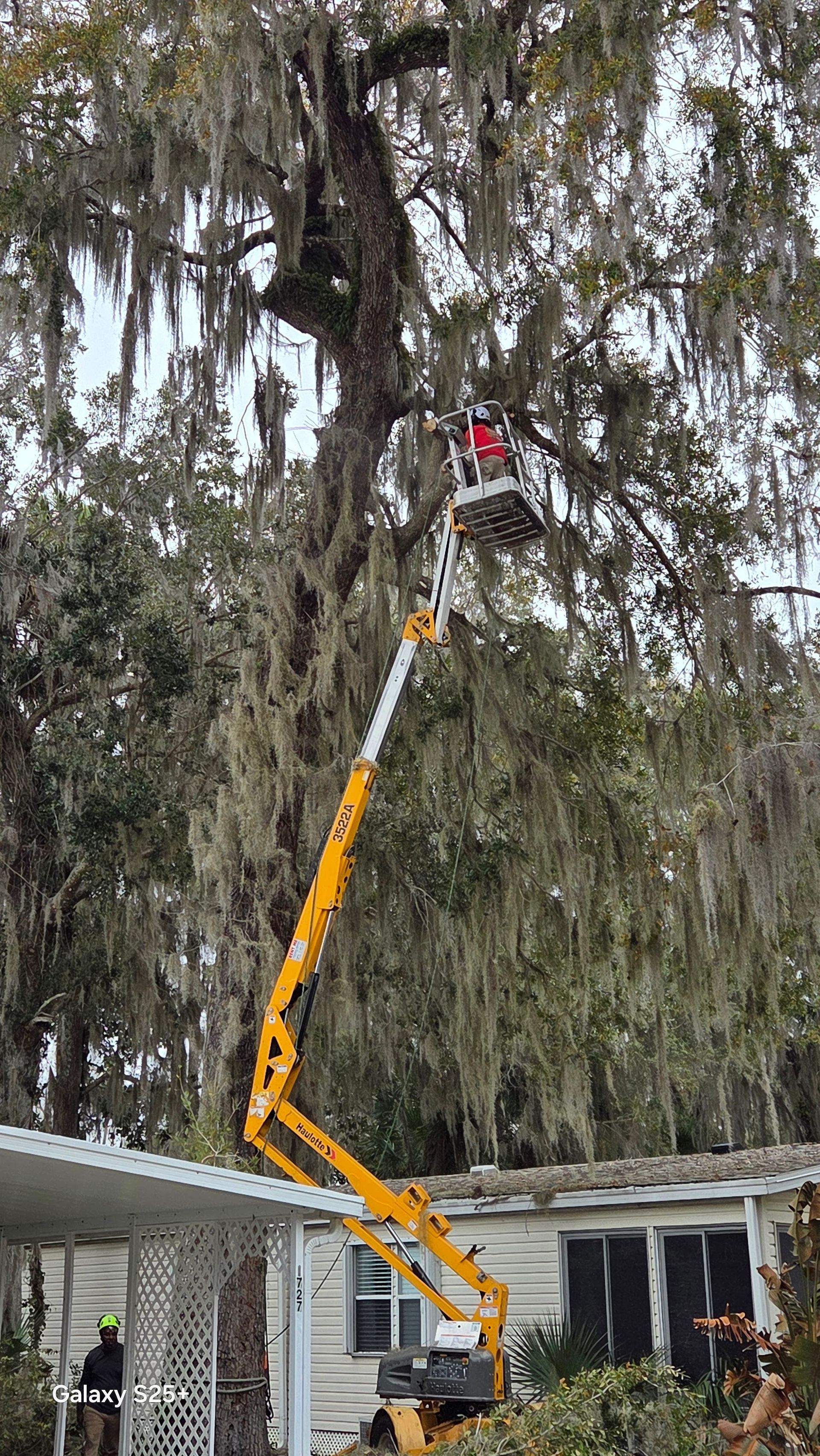 Yellow boom lift raises a worker toward a tree canopy beside a house