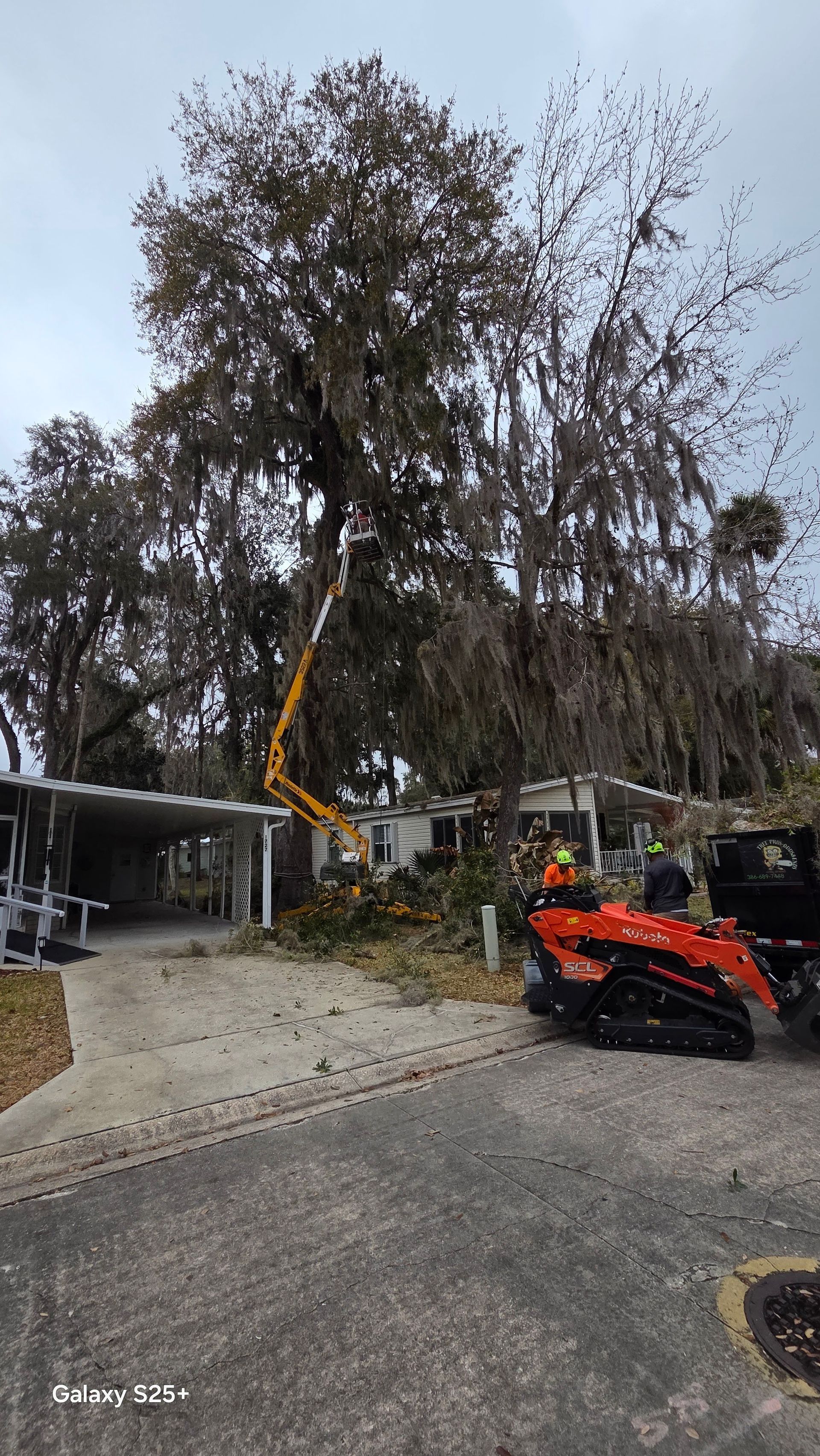 Orange utility lift trimming a large tree beside a house and driveway