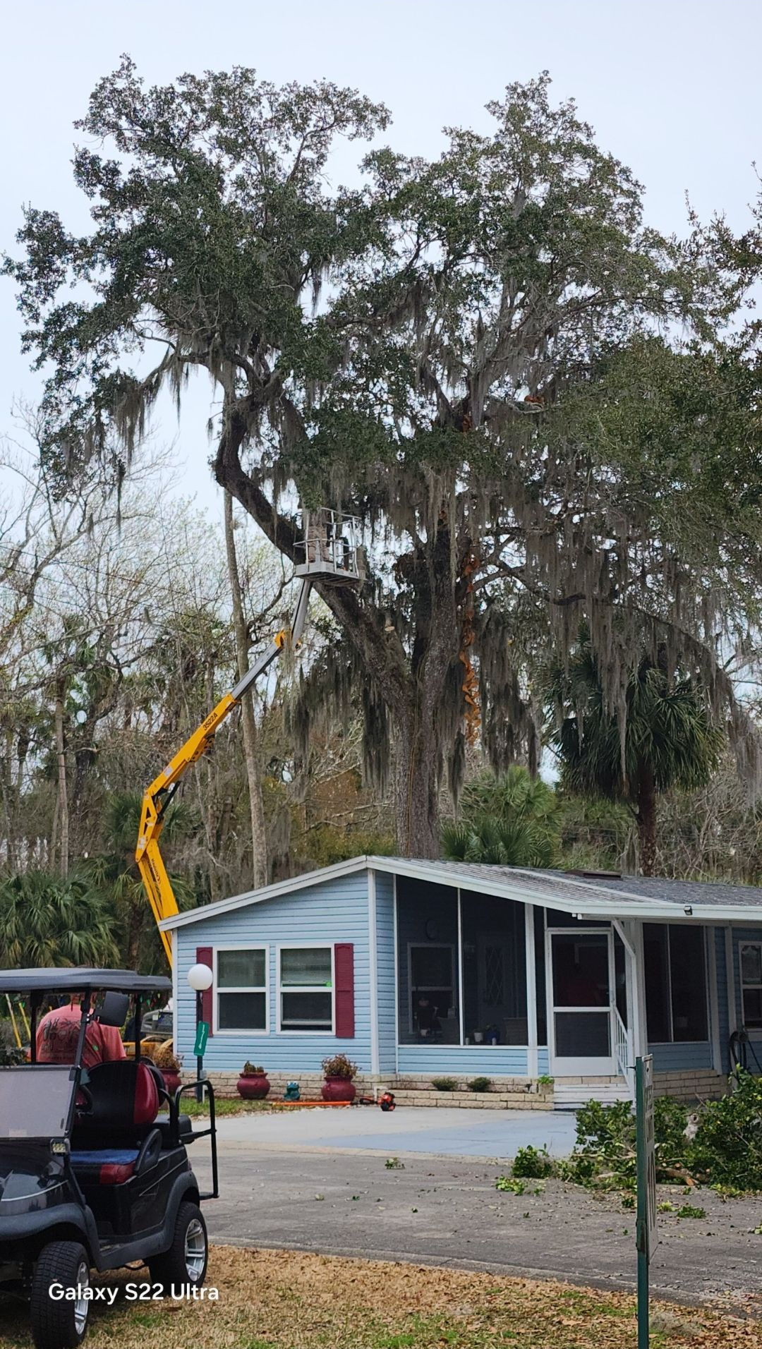 Utility truck with boom lift trimming a large tree beside a small house and driveway