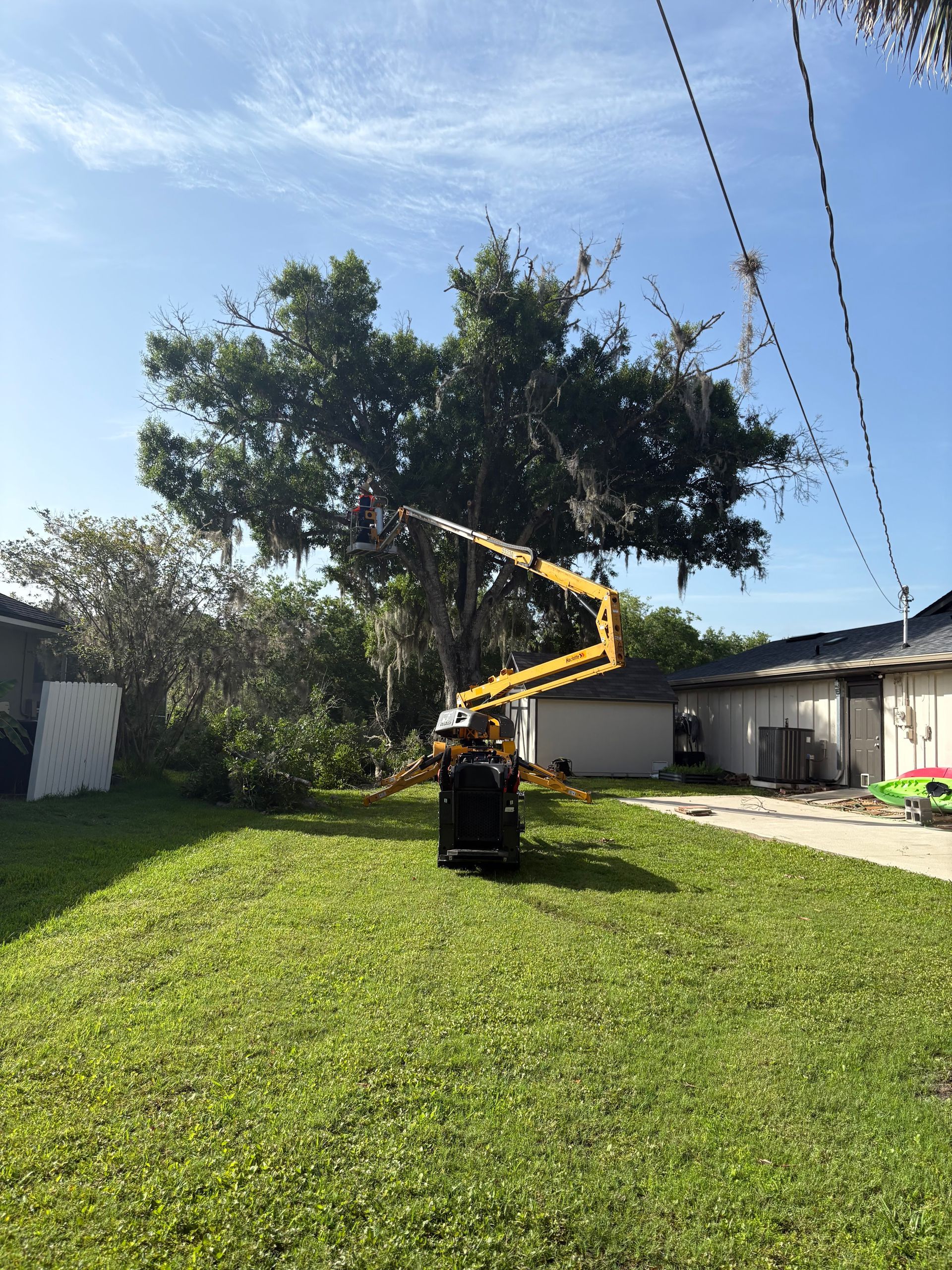 Worker in a yellow boom lift trimming a large tree in a sunny backyard with a house nearby