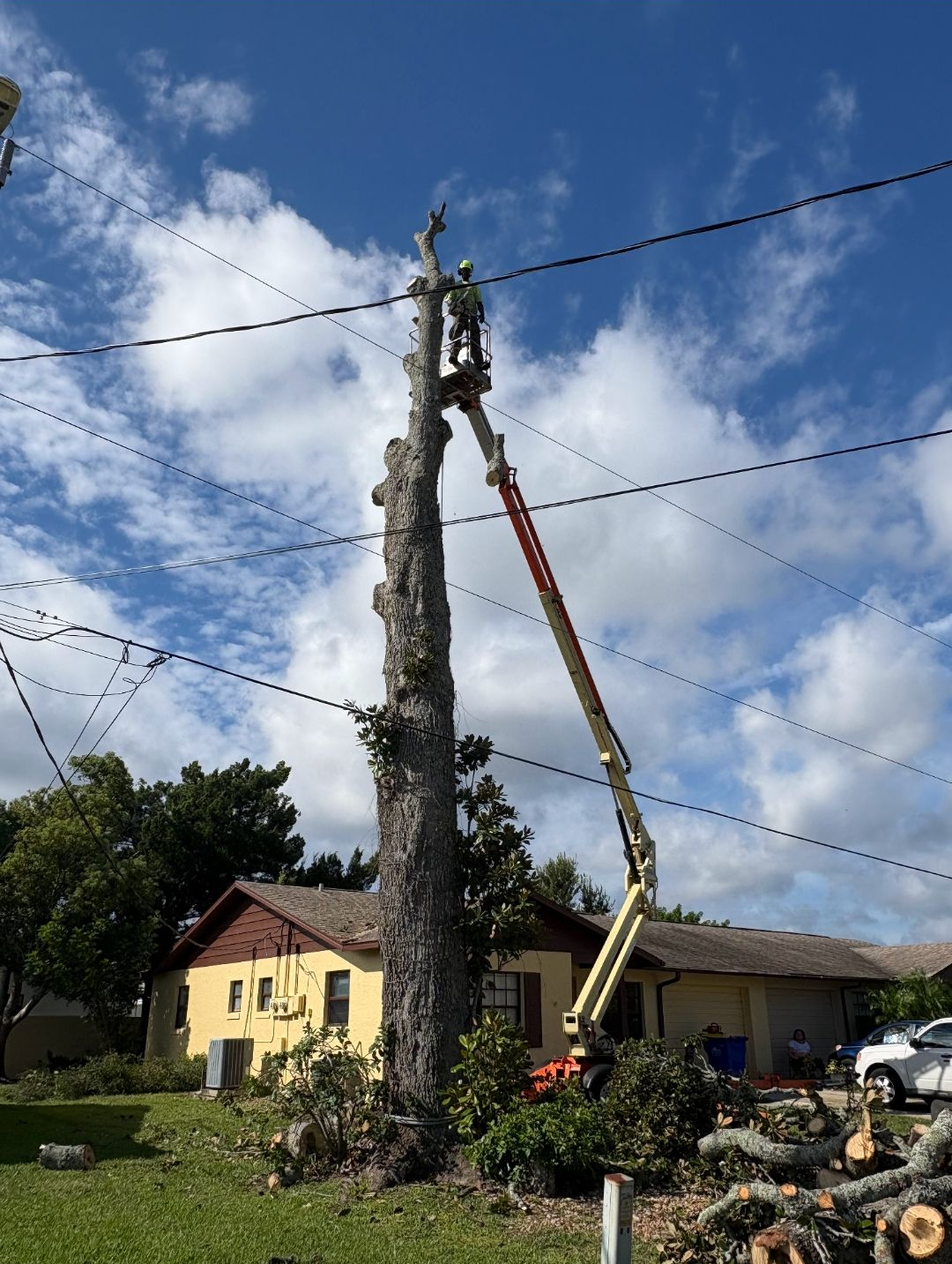 Tree being cut down beside houses, with a crane lifting the trunk under a cloudy sky.
