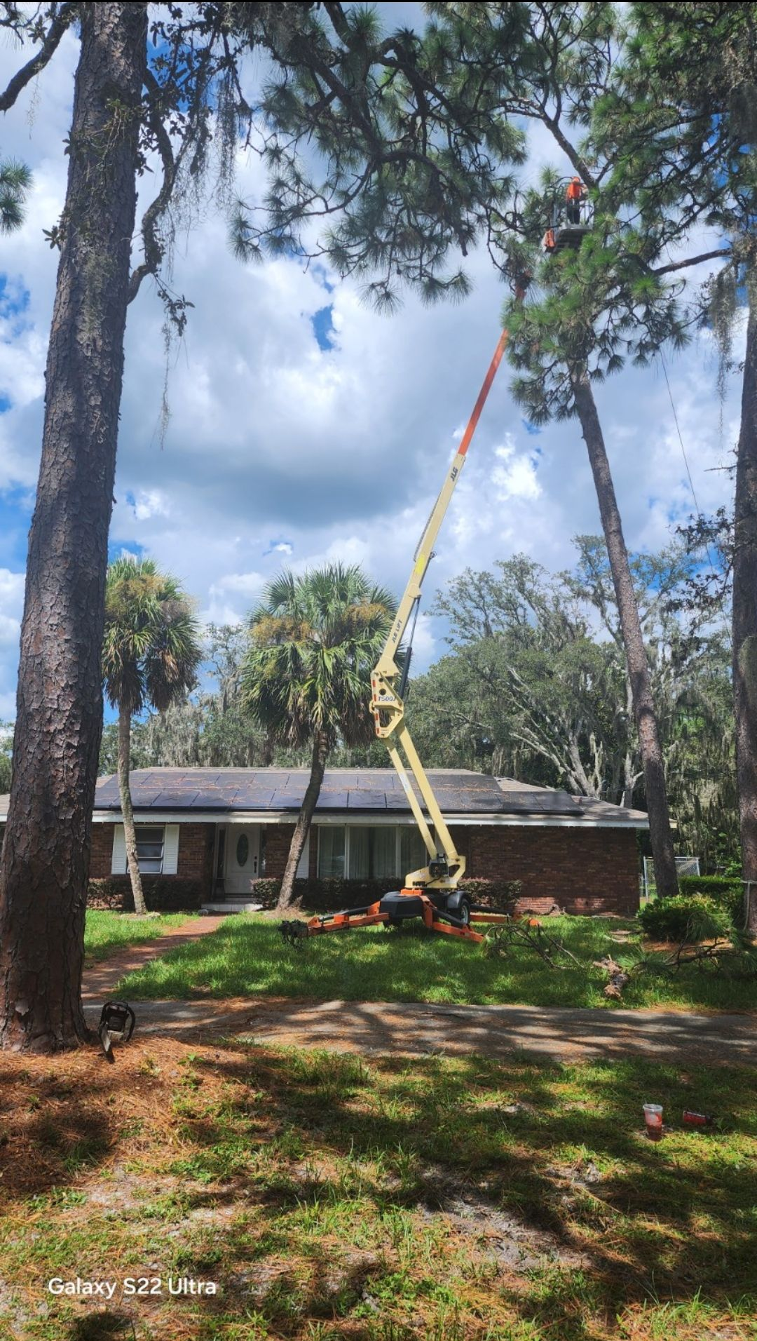 Tree-cutting crew in a yellow lift trimming a tall pine near a suburban house in a wooded yard.