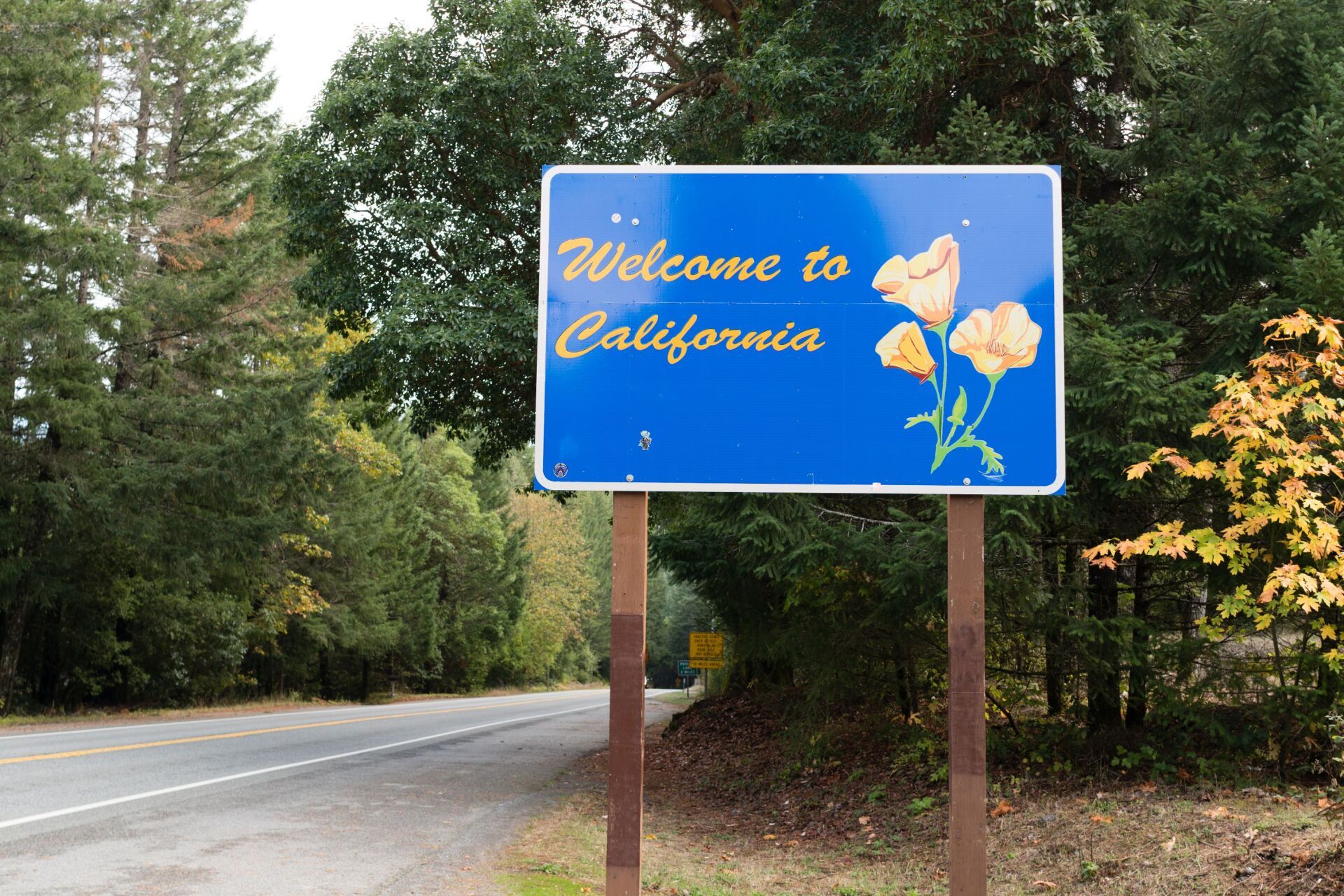 California Senate Bill 1262 Vetoed: Background Check Delays Expected