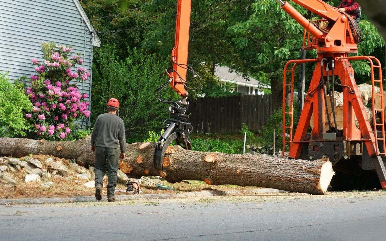 Man watching an orange crane lift a large tree trunk on a street.