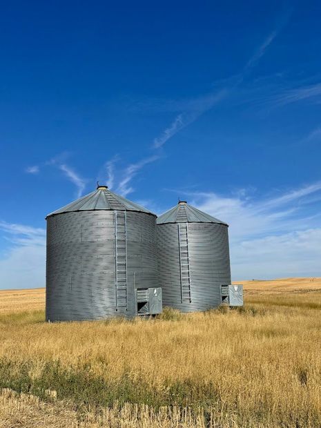 Two silver grain silos in a dry field under a bright blue sky