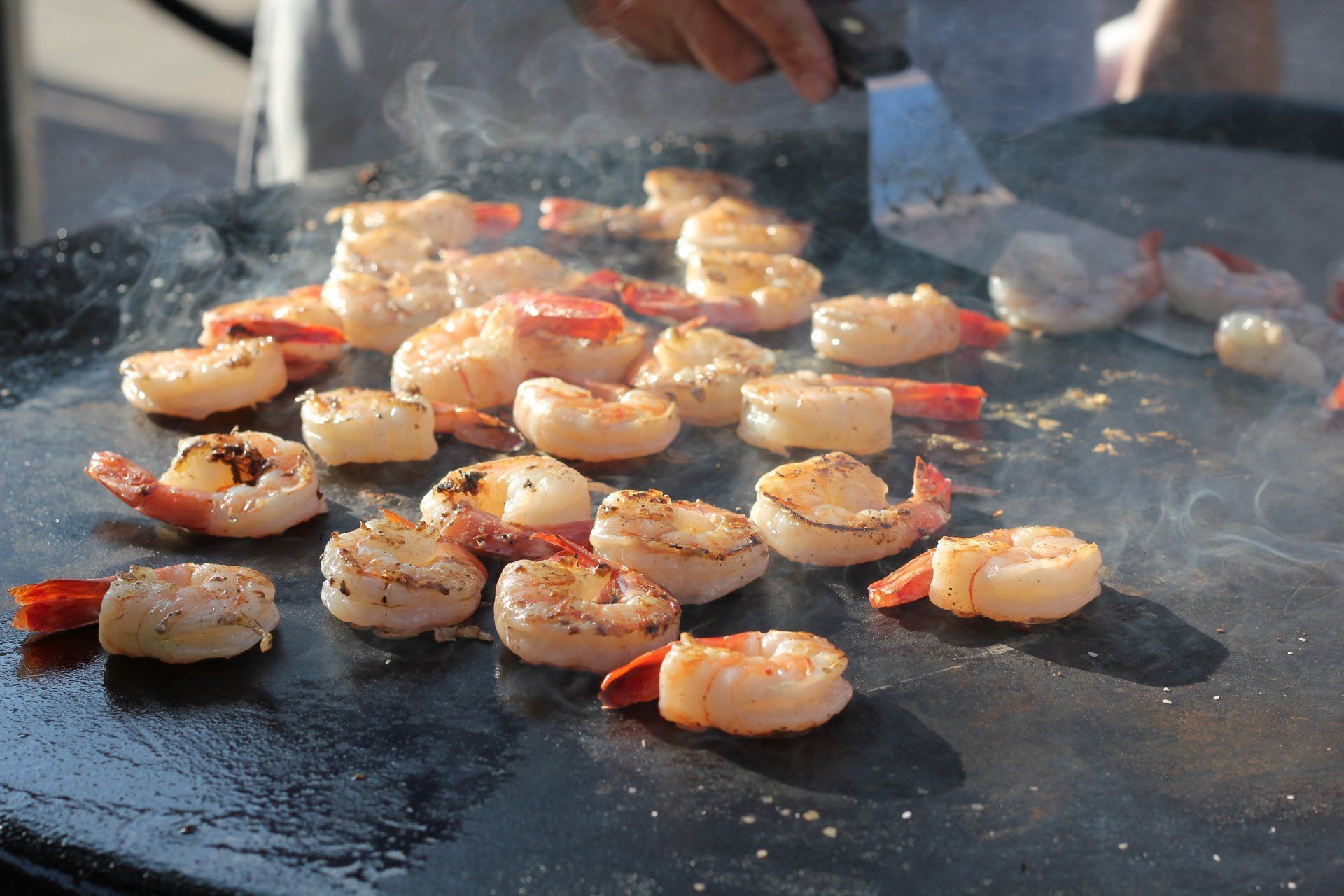 Shrimp