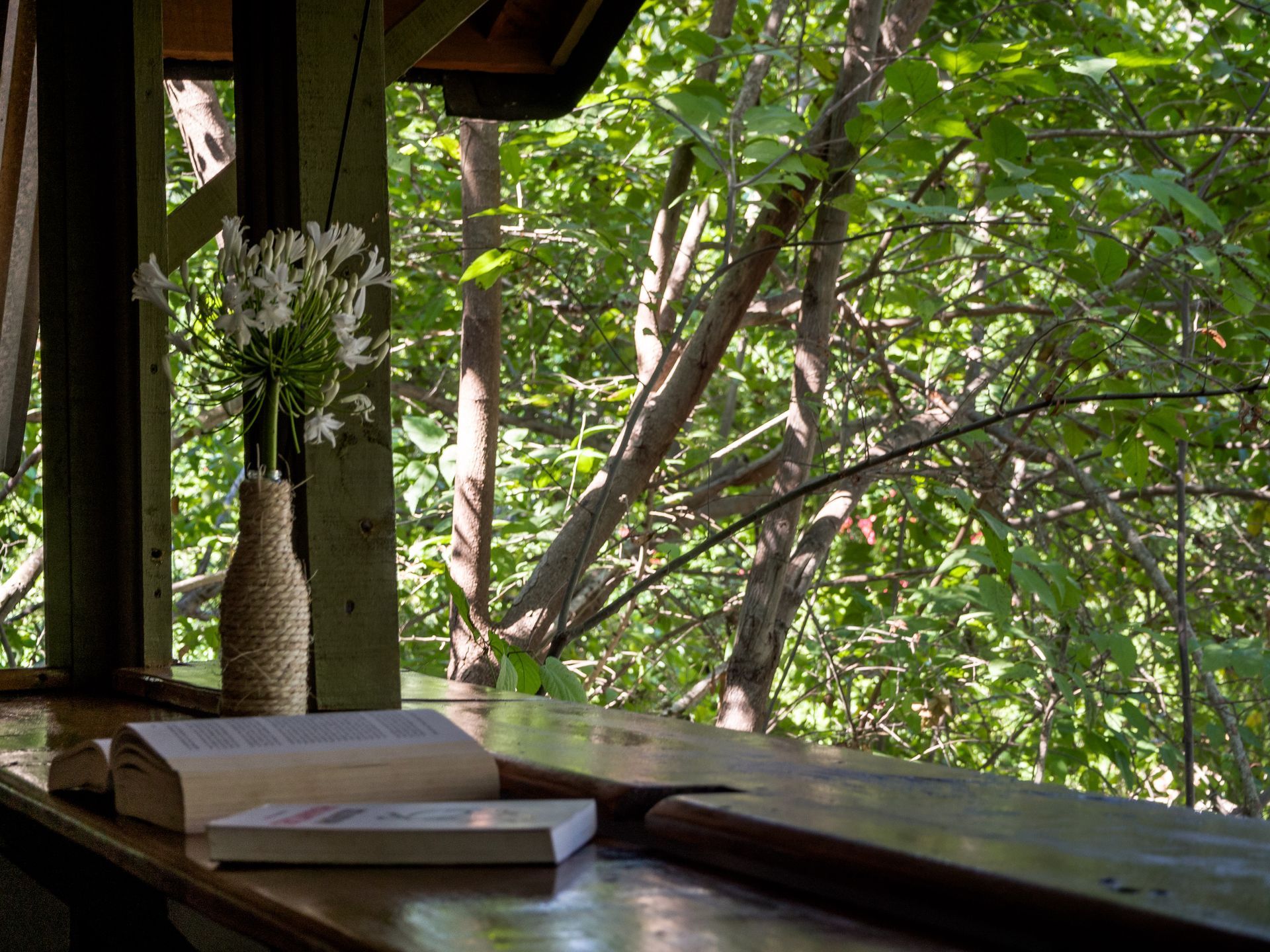 Estantería de madera con vistas a un frondoso bosque verde en posada del arquitecto en mazunte, oaxaca