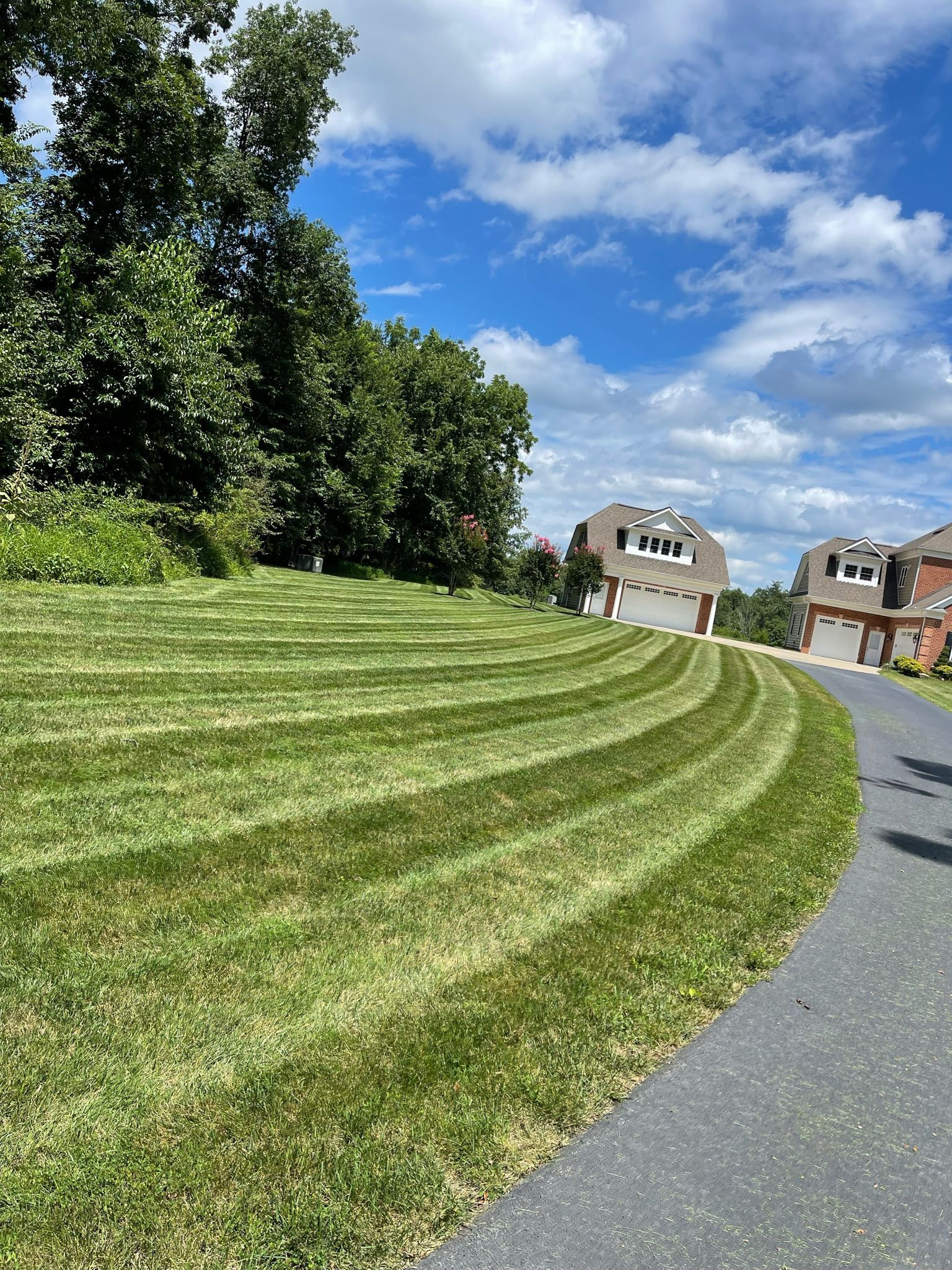 A lush green lawn is surrounded by trees and a road.