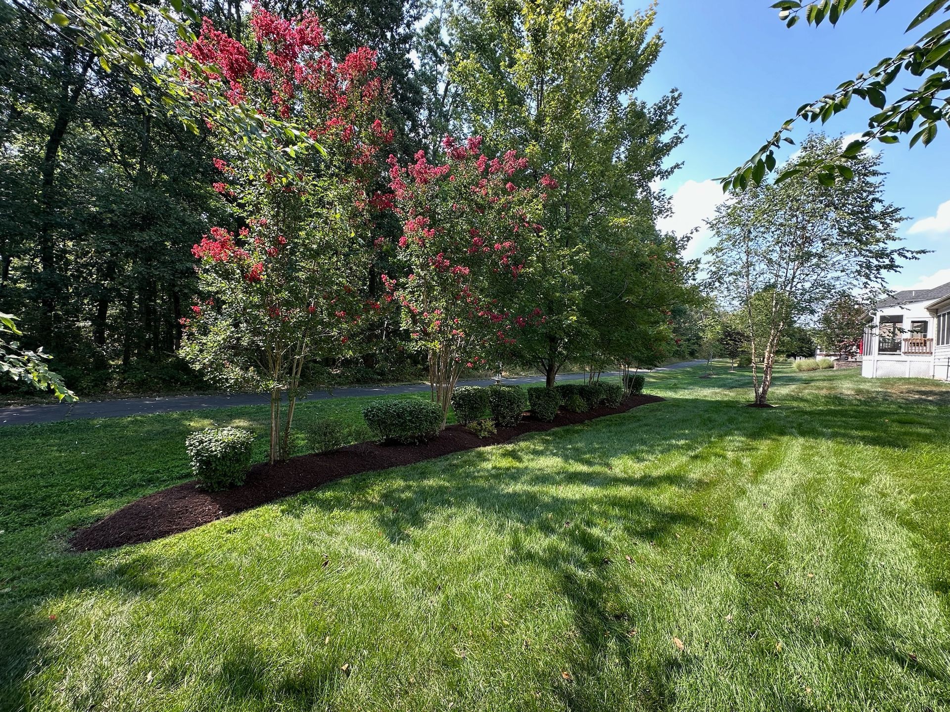 A lush green lawn with trees and bushes in the background.