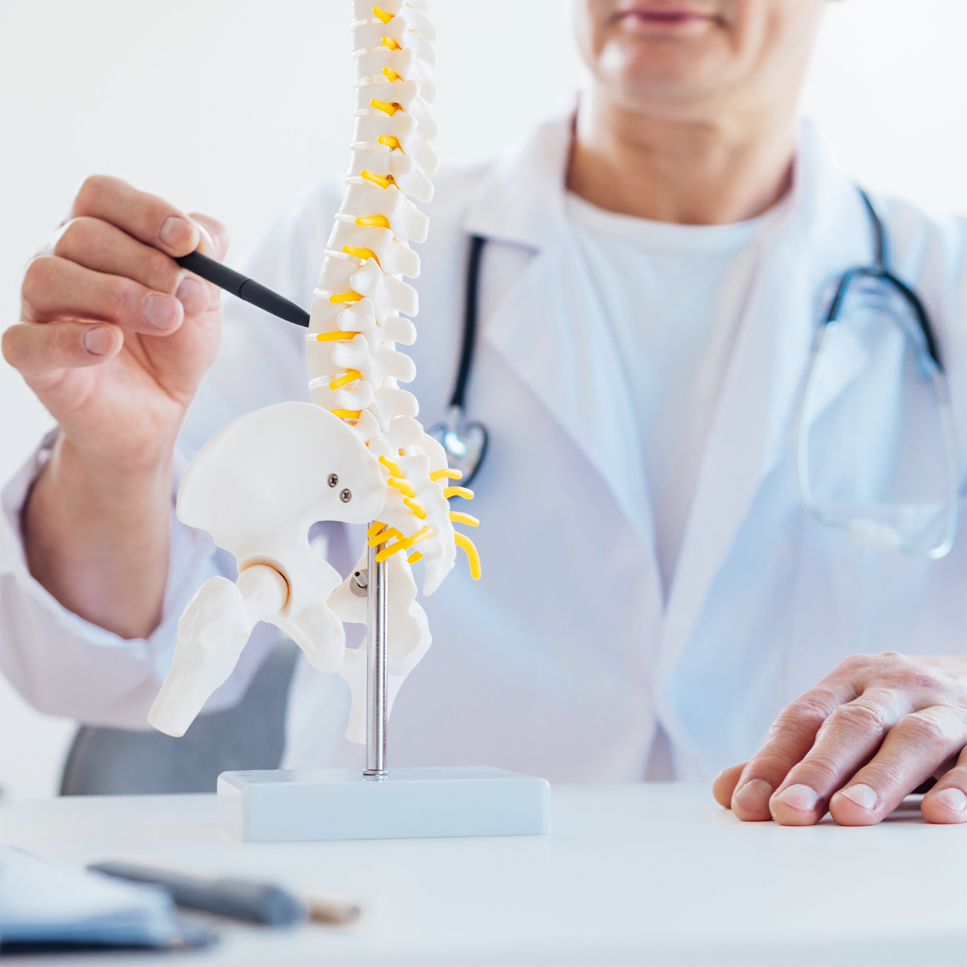 Doctor pointing at a spine model during a medical consultation