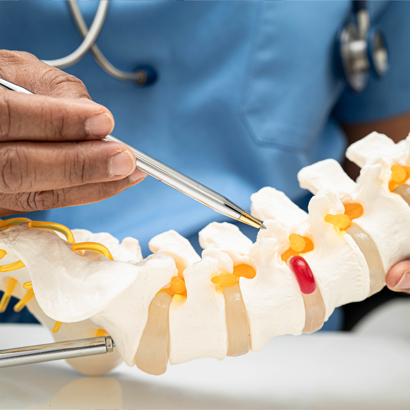 Dentist examining a model of teeth with a metal tool in a clinical setting