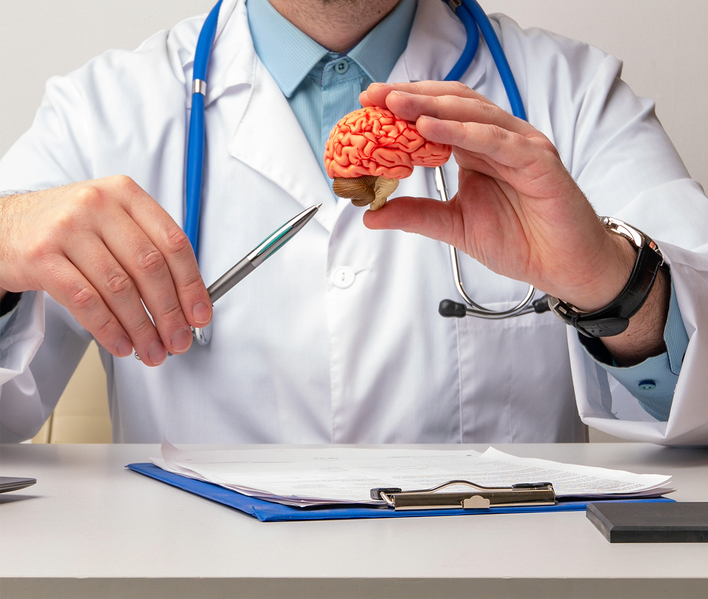 Doctor holding a model brain while seated at a desk with clipboard and pen
