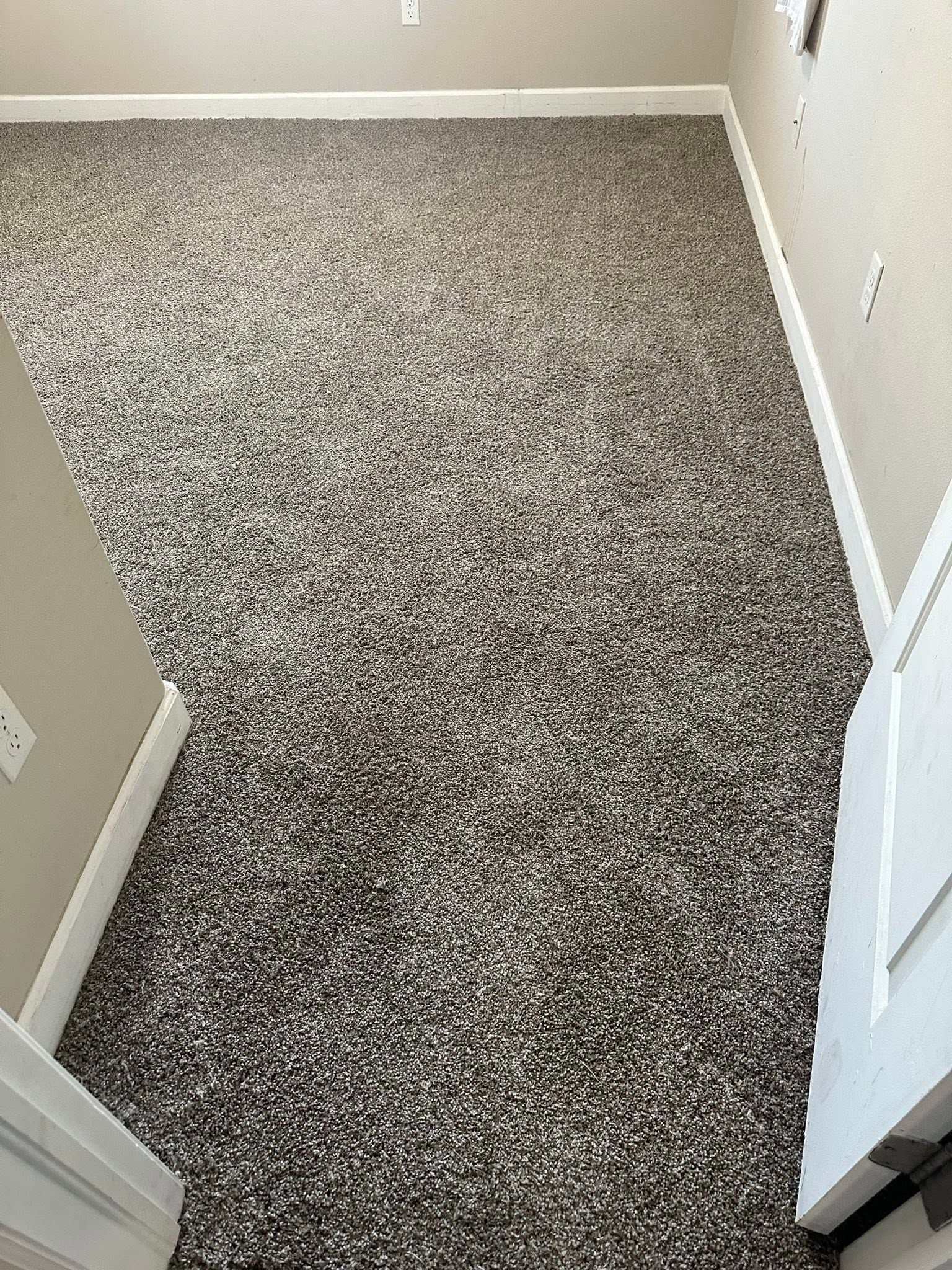 Empty carpeted hallway with white walls and doors on both sides