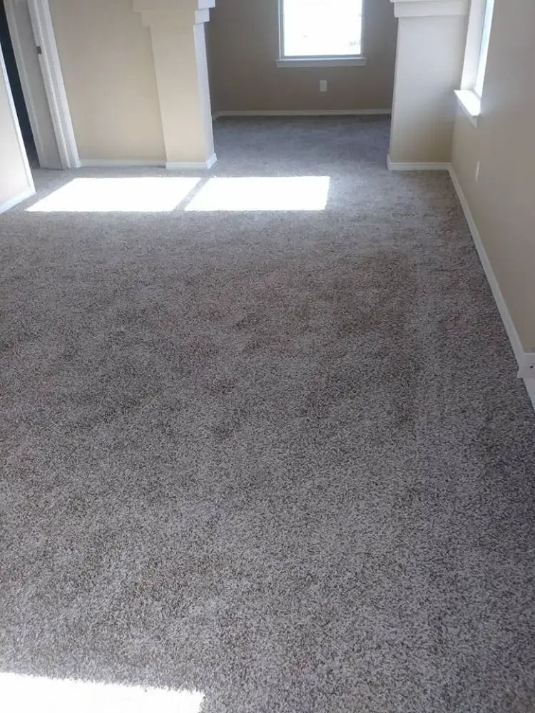Empty carpeted room with beige walls and bright sunlight streaming through windows