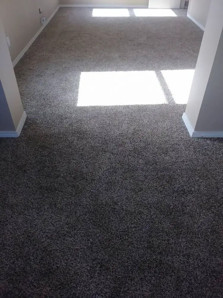 Empty carpeted room with sunlight streaming through a window onto the floor