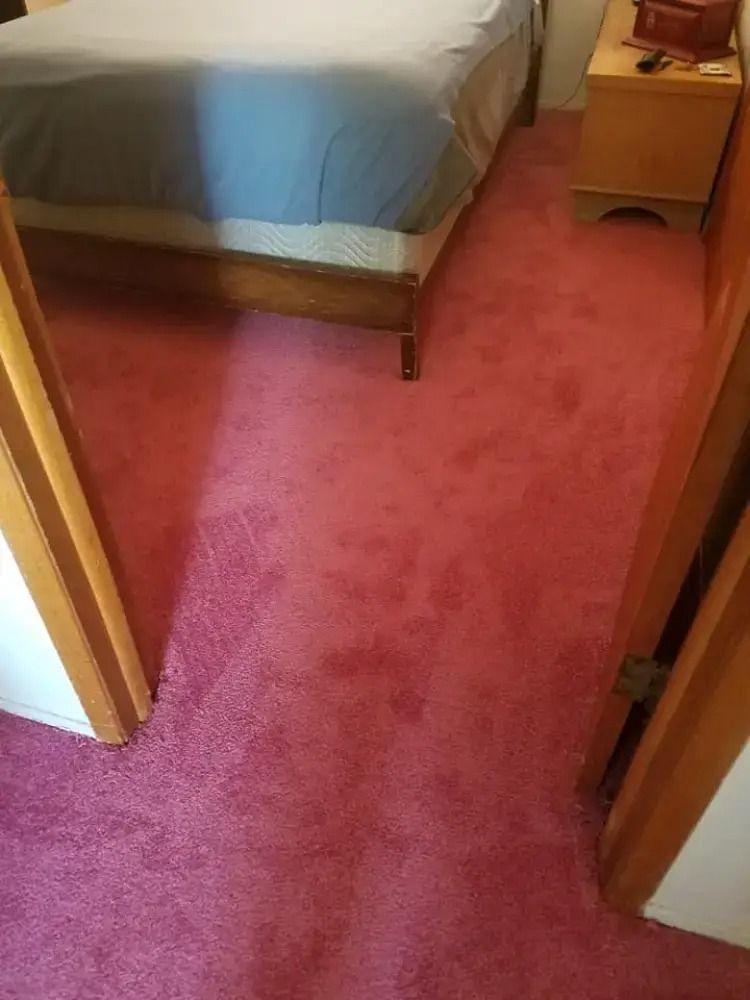 Small bedroom with pink carpet, a bed with blue bedding, and a wooden nightstand.