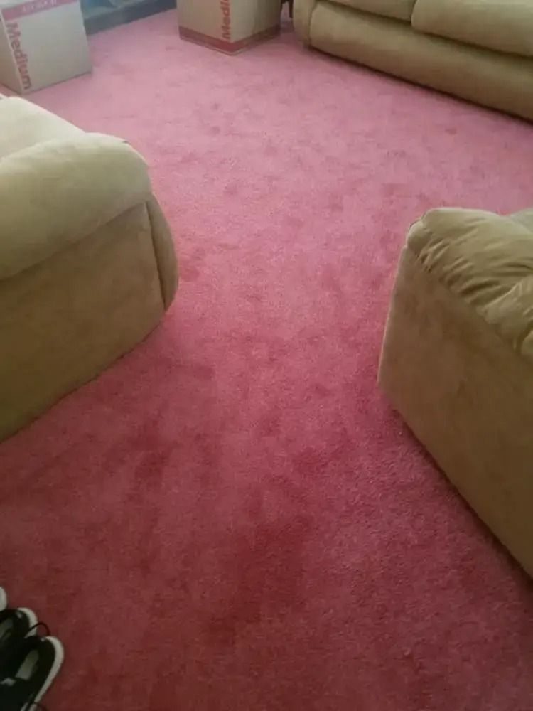 Pink carpeted living room with beige sofas and a black shoe in the corner