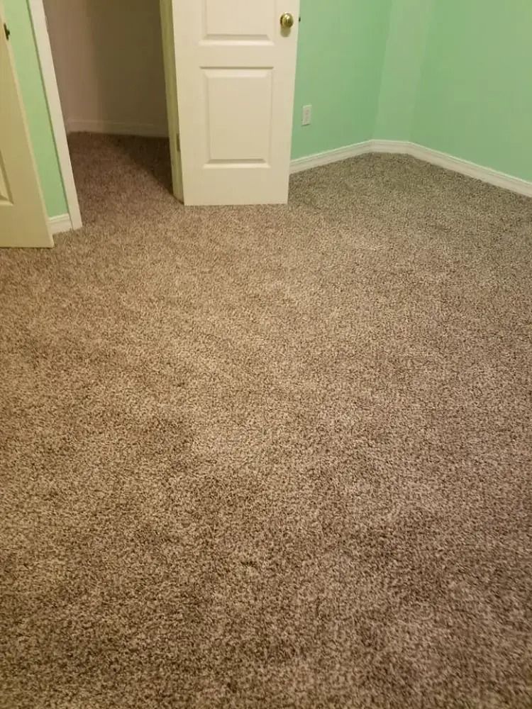 Empty carpeted room with mint-green walls and an open white door.