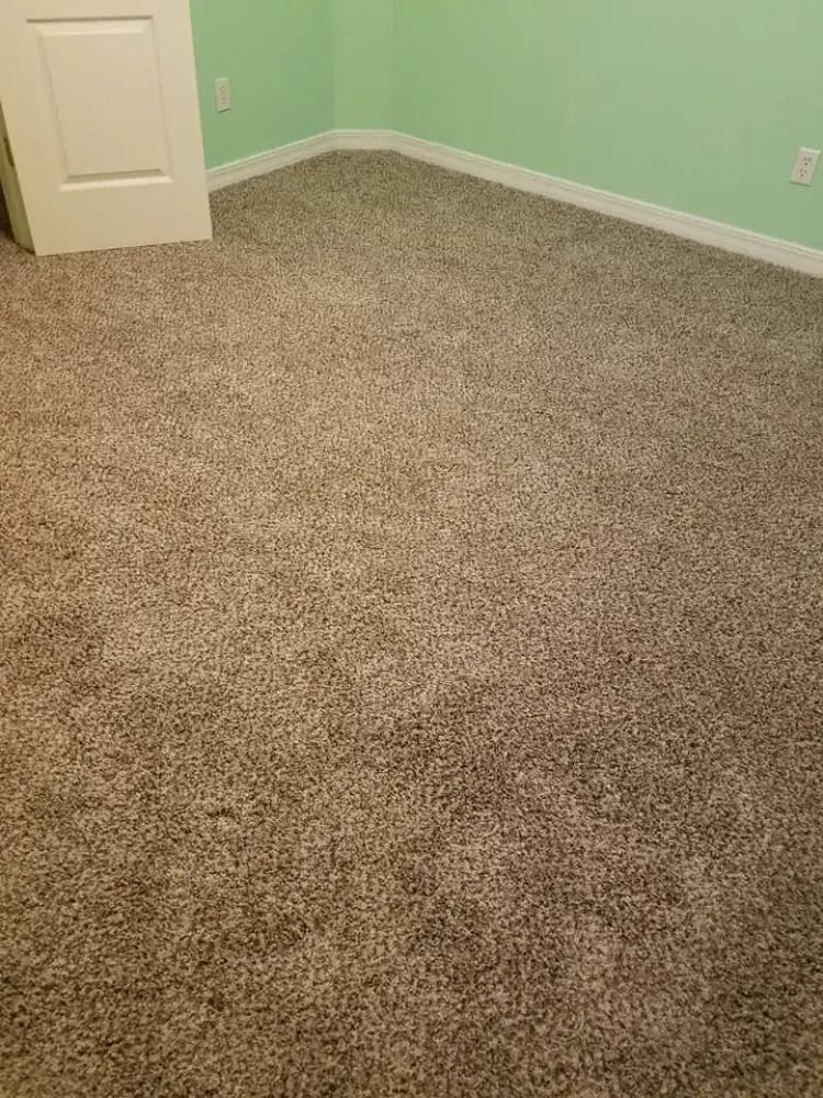 Empty carpeted room with light green walls and a white door in the corner.