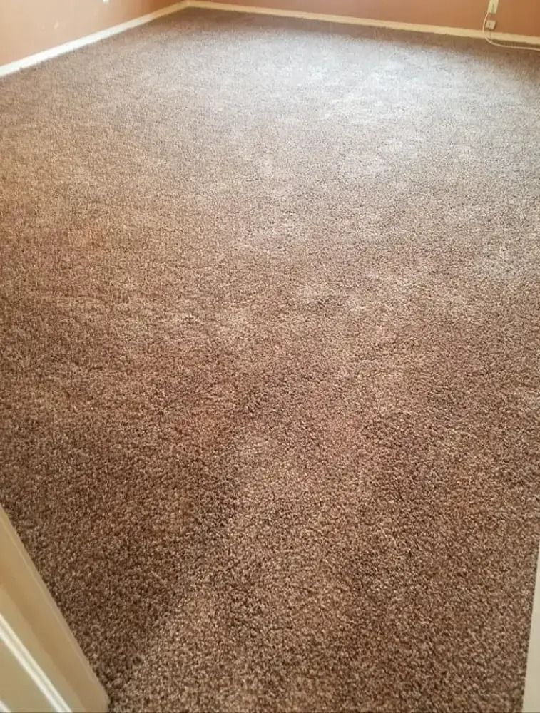Empty carpeted room with brown carpet and beige walls, viewed from a doorway