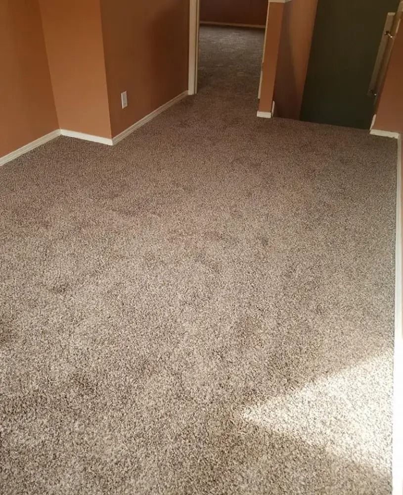 Carpeted hallway with brown walls and doorways, lit by sunlight near the floor.