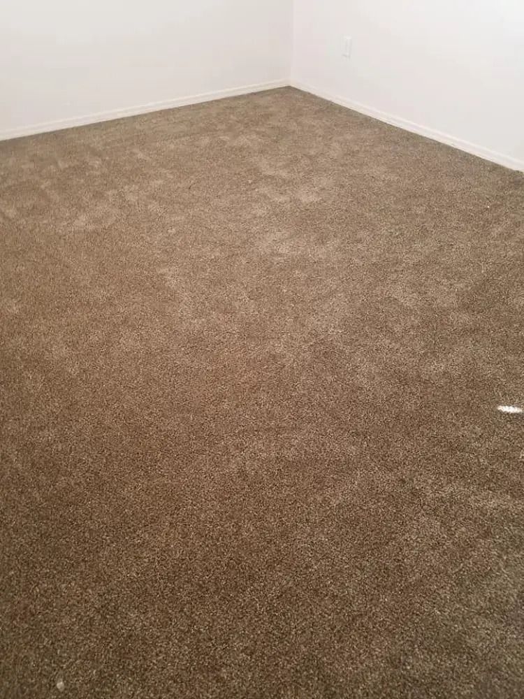 Empty room corner with brown carpet and white walls