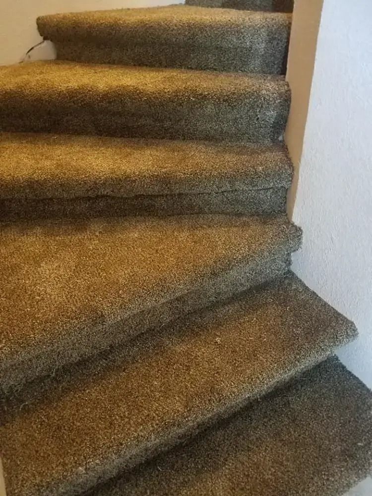 Carpeted indoor staircase with beige and brown steps and a white wall beside it