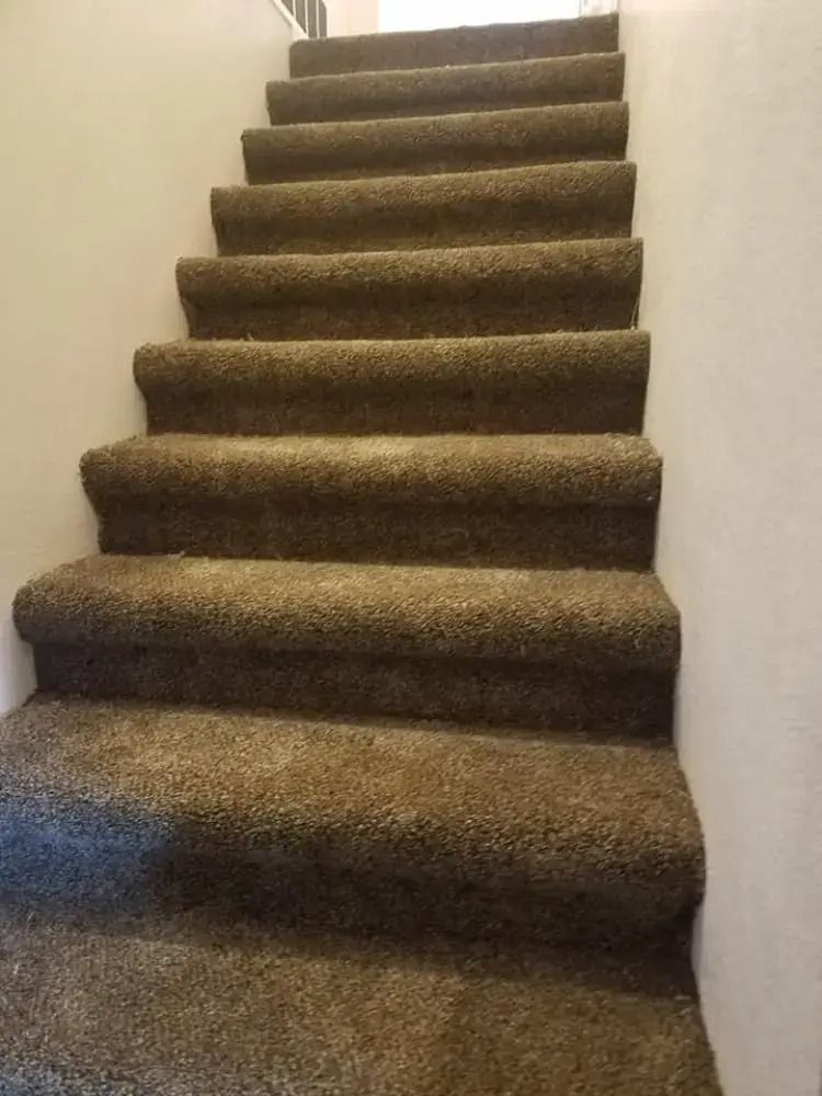Carpeted indoor staircase with white walls and a window at the top