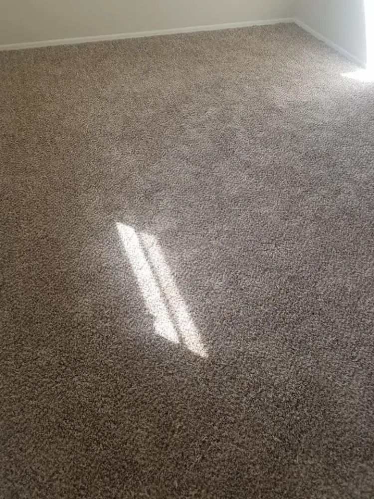 Beige carpeted room corner with sunlight streaming in from a window.