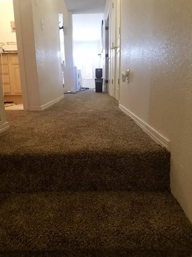 Carpeted hallway with a single step up, white walls, and a bright doorway at the far end.