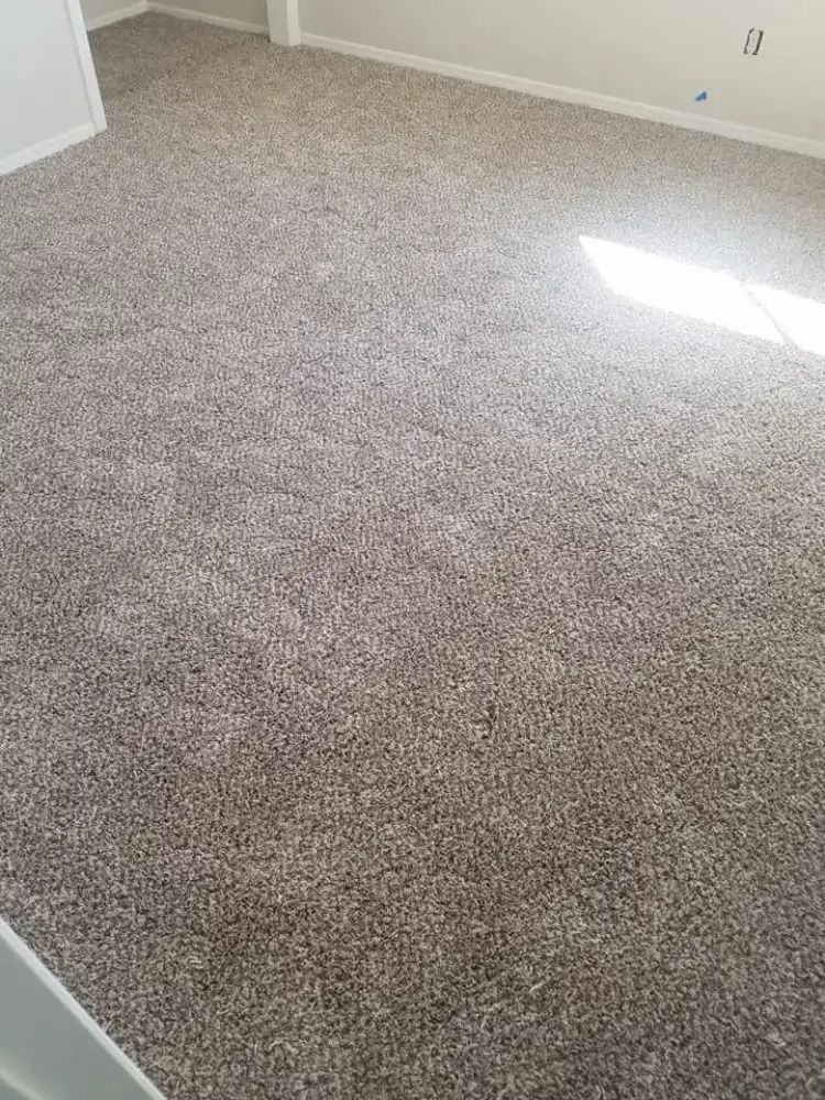 Empty beige carpeted room with sunlight streaming across the floor