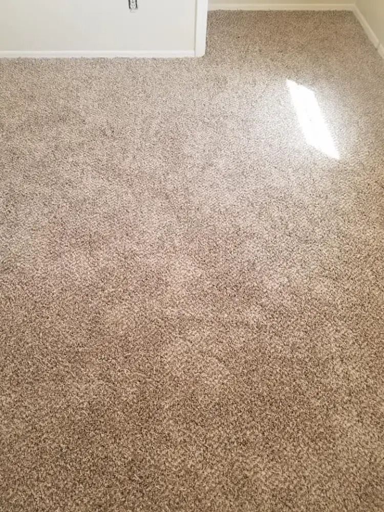 Beige carpeted floor with bright sunlight reflecting near a white wall and doorway.