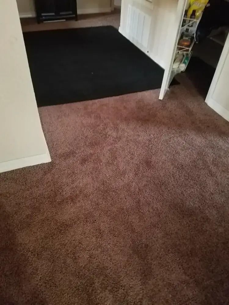Carpeted hallway with a black mat near a doorway and an open white door on the right.