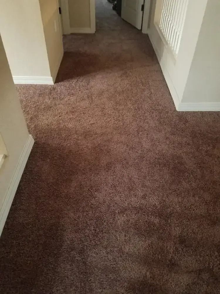 Empty hallway with brown carpet and white walls, lit by natural light