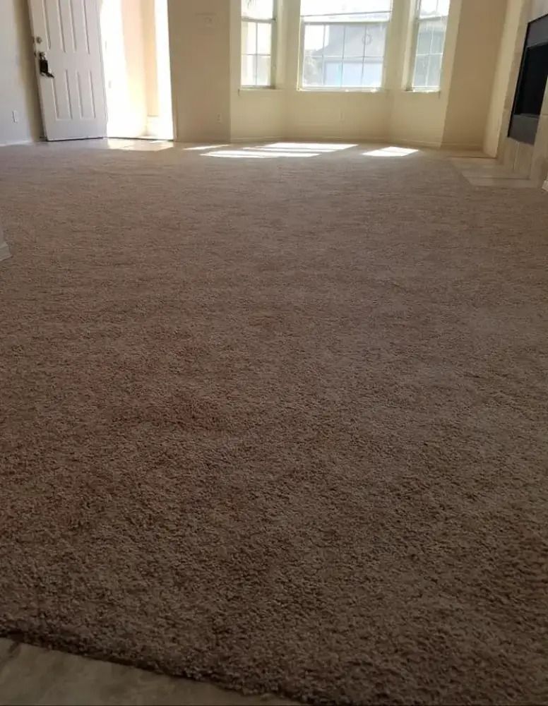 Empty beige-carpeted living room with sunlight from front windows and an open doorway.