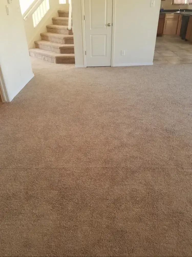 Empty beige-carpeted room with stairs and a doorway in the back wall