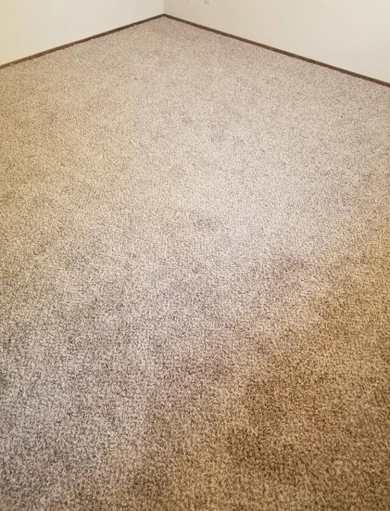 Empty carpeted room corner with beige speckled carpet and white walls